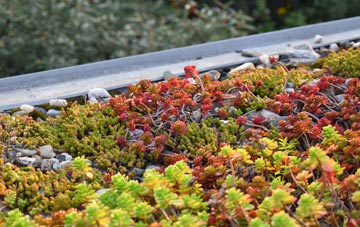 the cost of Stagsden West End green roof installation