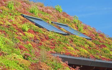 Stagsden West End living roof systems