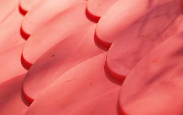 Stagsden West End plastic roof costs