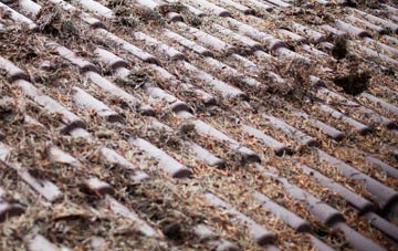 Stagsden West End roof cleaning companies