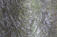 Stagsden West End fibreglass roof work